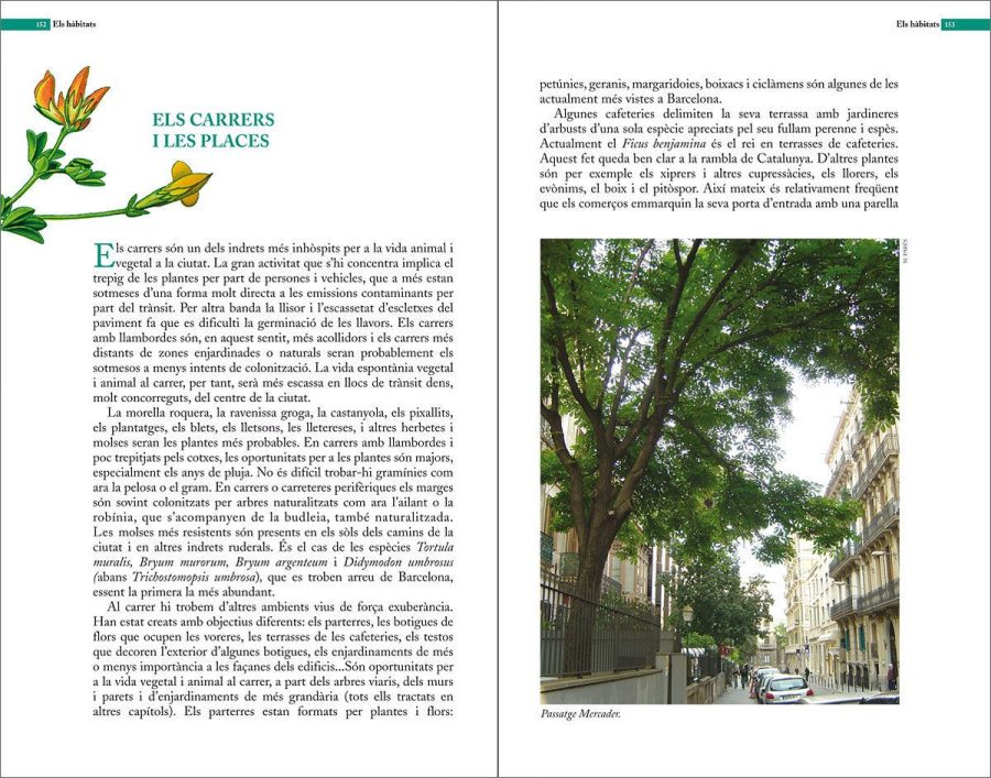Guia de natura de Barcelona sample page